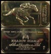 Secretariat at the Belmont Stakes' Art Bar by Silver Creations. THUMBNAIL