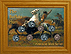 Buffalo Hunt Coin Collection THUMBNAIL
