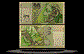 Slovakia Banknote, 20 Korun, 1.6.1995, P#20b THUMBNAIL