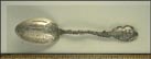 George Washington, Trees, Spokane Falls, Spokane, Washington Souvenir Spoon THUMBNAIL