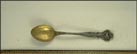 Spokane Falls, Flower, Spokane, Washington Souvenir Spoon THUMBNAIL