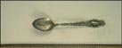 Genesee Falls, New York Souvenir Spoon THUMBNAIL