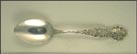 State Seal, Buckeye Plant, Ohio Souvenir Spoon THUMBNAIL