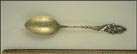 Columbine Flowers, Denver, Colorado Souvenir Spoon THUMBNAIL