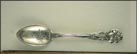 Celery, Kalamazoo, Michigan Souvenir Spoon THUMBNAIL