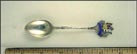 Enameled Crest, Kangaroo, Ostrich , Australia Souvenir Spoon THUMBNAIL