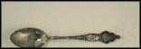 State Seal, Waterfall, Sturgeon, State Capital, Statue of Liberty, Niagara Falls, New York Souvenir Spoon THUMBNAIL