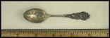 Stone Bridge, Daisies, Fayetteville, Tennessee Souvenir Spoon THUMBNAIL