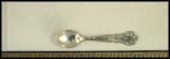 Apple Blossom, Michigan Souvenir Spoon THUMBNAIL