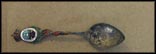Royal Palms, Enameled Crest and Flag, Hamilton, Bermuda Souvenir Spoon THUMBNAIL