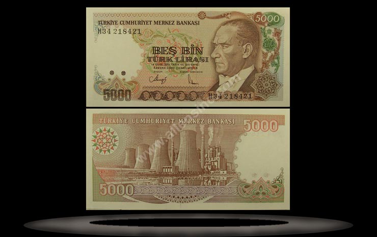 Turkey Banknote, 5000 Lira, L.1970 (1990), P#198 MAIN