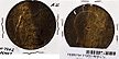 Great Britain, 1905 1 Penny, Cat# 794.2 THUMBNAIL