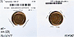 Netherlands, 1886 1/2 Cent, Cat# 109.1 THUMBNAIL