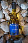 2021 Chardonnay THUMBNAIL