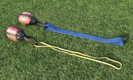 buy Elastic Harness