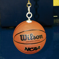 buy Functional Ball Trainer