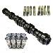 General Motors Buick/Chevy/GMC 5.3 AFM Camshaft/Cam+Lifter Kit Single Bolt/4x 07-13 12625 (1779-400) THUMBNAIL