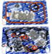 EF2006C1 THUMBNAIL