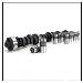262 4.3L GM Camshaft and Lifters (1110 400) THUMBNAIL