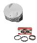 Chevy 454 Hypereutetctic Pistons and Hastings Performance Rings (H625CP+2M5518) THUMBNAIL
