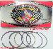 Chrysler 440 Performance Rings (2M5528) THUMBNAIL