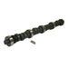 Ford, Ford Truck, Mercury 255 302 V8 (1968-01) Engine Camshaft (SYB-26) THUMBNAIL