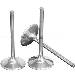 Cadillac 331 365 V8 1952-1956 Engine Exhaust Valves Set (8) (VE2023) THUMBNAIL