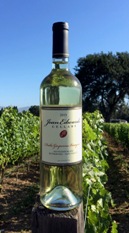 2021 Dalla Gasperina Vineyard Sauvignon Blanc THUMBNAIL