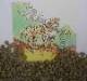 buy Colombian decaf Green Coffee