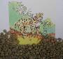 buy Green Coffee Colombia Narino