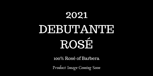 2021 Debutante Rose THUMBNAIL