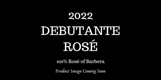 2022 Debutante Rose LARGE