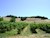 Harvest View Chardonnay 2018 - $45 retail SWATCH
