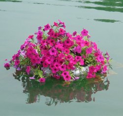 buy 25 Inch Floating Rock Flower Beds for Ponds, Water Gardens, & Swimming Pools