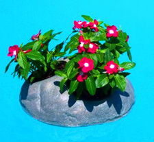 buy 16 Inch Floating Rock Flower Beds for Ponds, Water Gardens, & Swimming Pools