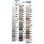 36" x 36" Wheelchair Accessible Shower with LOW Profile Base SWATCH