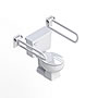 PT Rail Hinged Grab Bar SWATCH