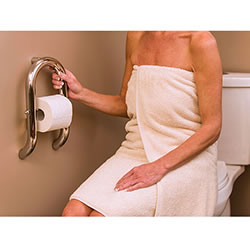 Invisia Wall Toilet Roll Holder Grab Bar MAIN