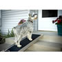Pet Folding Ramp SWATCH