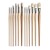 Raphael D'Artigny Hog Bristle D-Brush, 20 SWATCH