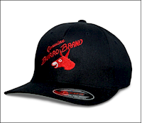 BURRO FLEXFIT - EMBROIDERED MAIN