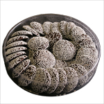 Dark Chocolate Non Pariels (10oz) THUMBNAIL