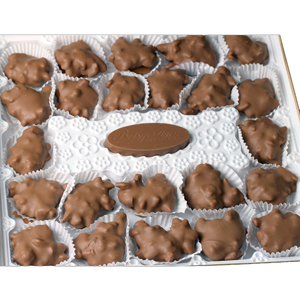 Milk Chocolate Pecan Slopokes (16oz) MAIN