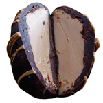 Amaretto Chocolate Truffle Egg (1.5oz) THUMBNAIL