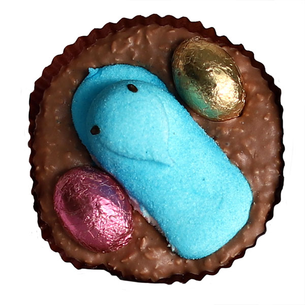 Coconut Nest - Milk Chocolate (2.5oz) MAIN