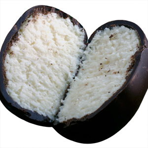 Coconut Egg - Dark Chocolate (8oz) MAIN