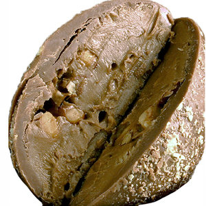 Crunchy Peanut Butter Chocolate Truffle Egg (1.5oz) MAIN