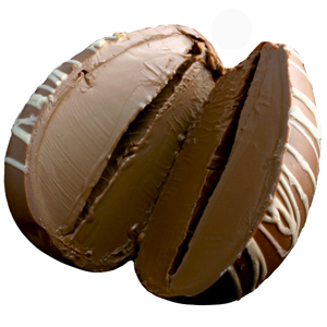 Double Milk Chocolate Truffle Egg (8oz) MAIN