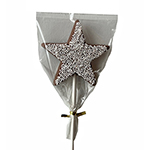 Star Lollipop Decorated - Milk Chocolate (1oz) SWATCH
