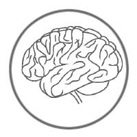 ZytoDot Probes - Brain and Neural Tumors